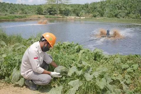 Menuju Net Zero Emission, PT GMM Olah Limbah Jadi Pupuk