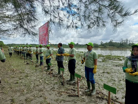 Rehabilitasi Mangrove Jadi Andalan Konservasi Astra Agro Grup di Aceh