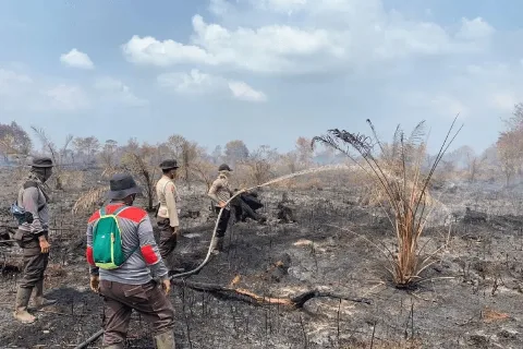 BPBD Riau Masih Melakukan Pemadaman Karhutla di Kabupaten Indragiri Hulu