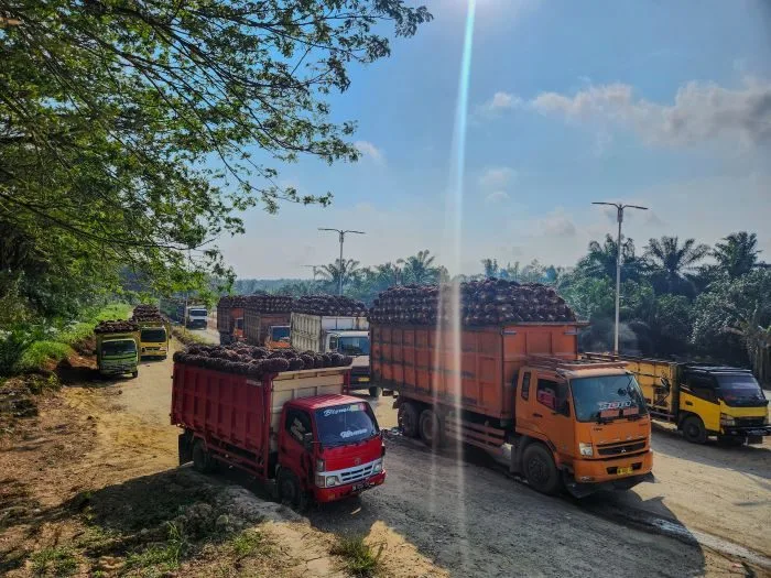 PT Sari Lembah Subur Dengarkan Aspirasi dan Berpedoman pada Permentan