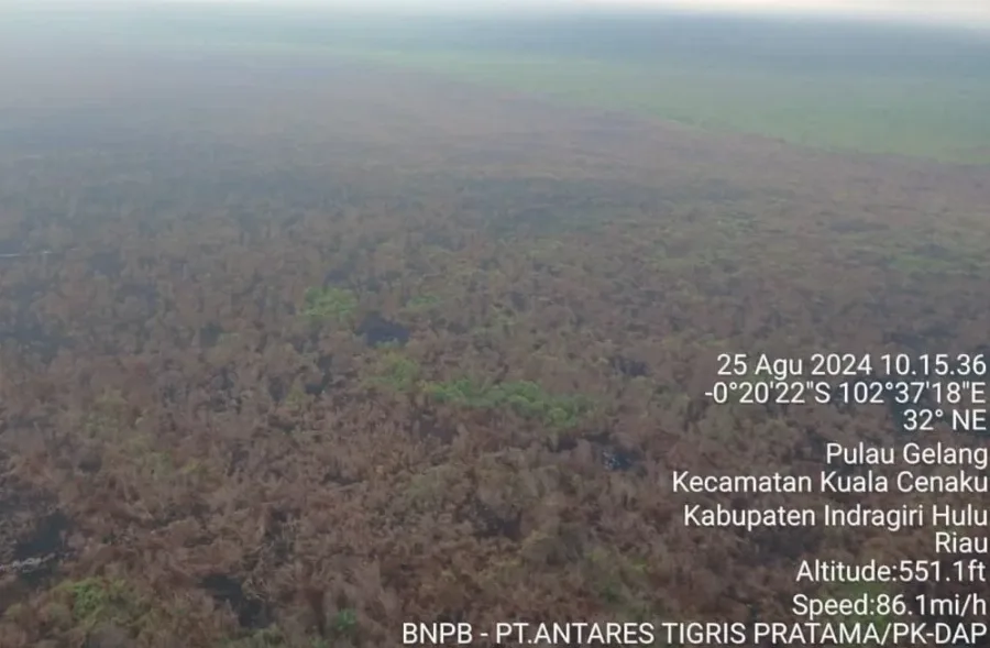 Satu Minggu Berjuang Melawan Api di Kuala Cenaku,Riau Nihil Karhutla