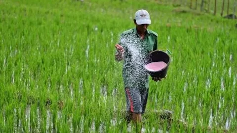 Pupuk Subsidi 2026 Sudah Bisa Ditebus Mulai 1 Januari