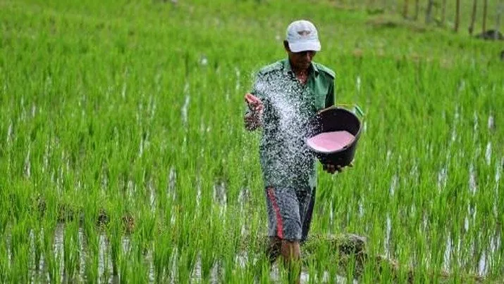 Kementan Perlu Memperbaiki Data Petani Penerima Pupuk Bersubsidi Secara Terintegrasi