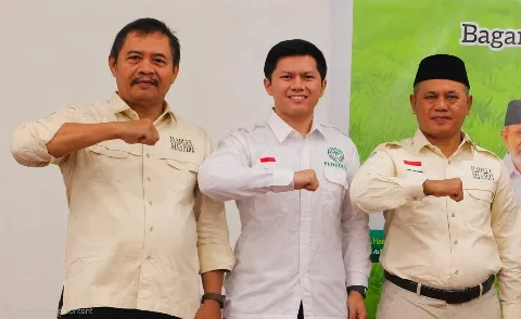 Gunakan Isu BUMN Ekspor, Apkasindo Riau: Spekulan Mainkan Harga TBS Sawit Petani