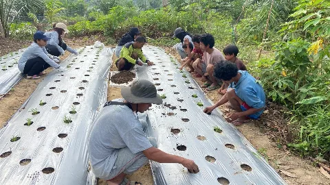 Tim PPK Ormawa Lakukan Pembinaan Suku Anak Dalam  Untuk Pembuatan Pupuk Organik