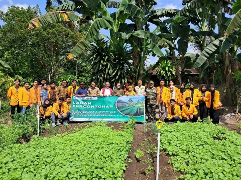 Universitas Jambi Menerapkan Smart Farming ke Petani Kelurahan Bakung Jaya