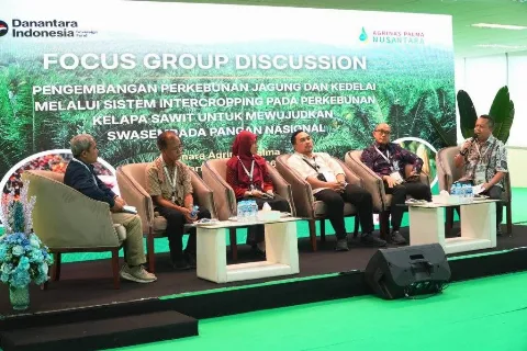 Intercropping Perkebunan Kelapa Sawit Mewujudkan Swasembada Pangan Nasional
