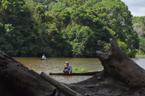 Menjaga Hutan Gambut Menjadi Komitmen Riau