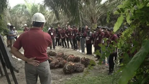 LPP Agro Nusantara Tuntaskan Pelatihan Petani Sawit yang Didukung BPDPKS dan Ditjen Perkebunan