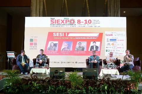 Beragam Solusi Atasi Rendahnya Produktivitas Sawit Nasional