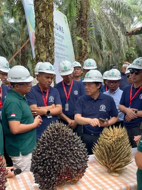 Dirjen FAO, Qu Dongyu: Sektor Sawit Kunci Stabilitas Pasokan Pangan Dunia