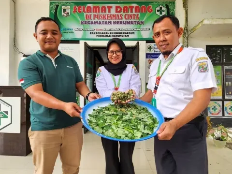 PT SLS Peduli Kesehatan Masyarakat, Bantu Budidaya dan Pengolahan Daun Kelor