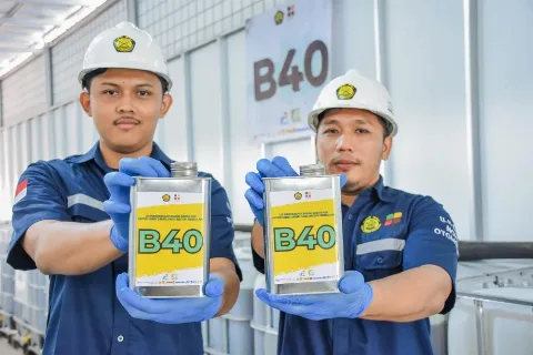 Bakal Diluncurkan 1 Januari 2025, Segini Kebutuhan Sawit untuk B40