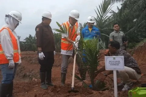 Paya Pinang Group Menginisiasi Penanaman Padi Gogo Sebagai Tanaman Sela di Kebun Sawit