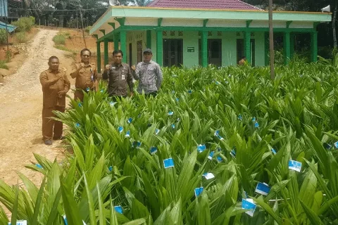 Disbun Kaltim Memberikan Bantuan Sarana Produksi