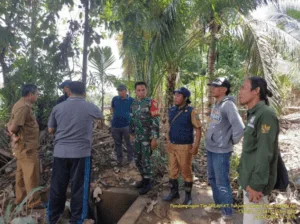 Optimasi Lahan Rawa Memberikan Manfaat Signifikan Bagi Petani