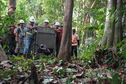 Area Konservasi Bumitama Jadi Rumah Baru Owa Kalimantan yang Dilepasliarkan BKSDA