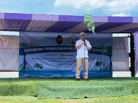 GAPKI Kelola 50 Hektar Lahan Mangrove Cegah Abrasi di Kobar