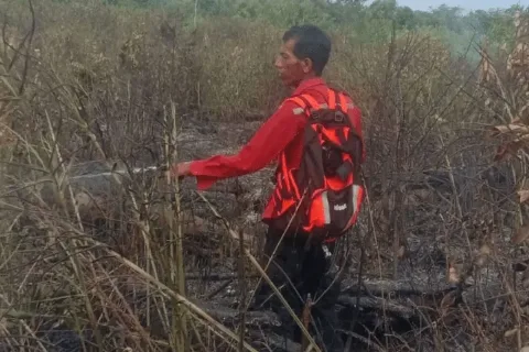 Kabupaten Penajam Paser Utara Berhasil Padamkan Karhutla