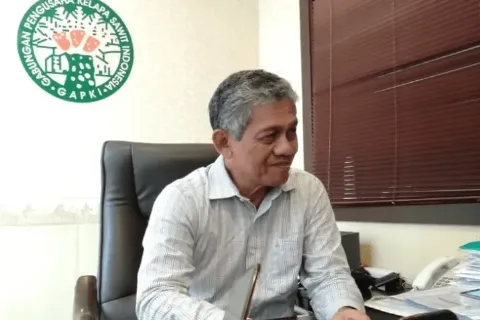 GAPKI: Pemerintah Perlu Merumuskan Kebijakan yang Lebih Mendukung Investasi di Sektor Kelapa Sawit