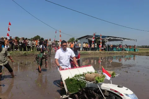 Dorong BUMN Pangan Jadi Pusat Benih Terbesar di Indonesia