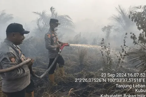 Seluas Sekitar 25 Hektare Terbakar di Kabupaten Rokan Hilir