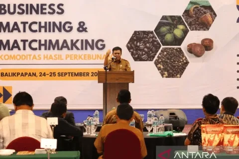 Hilirisasi kunci keberlanjutan perkebunan rakyat