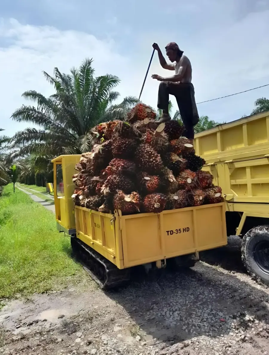 Tigon Dukung Mekanisasi Panen Sawit