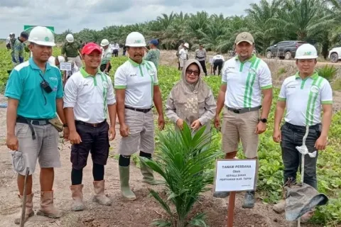 Tanam Perdana Kelapa Sawit Kebun Plasma PT PAS