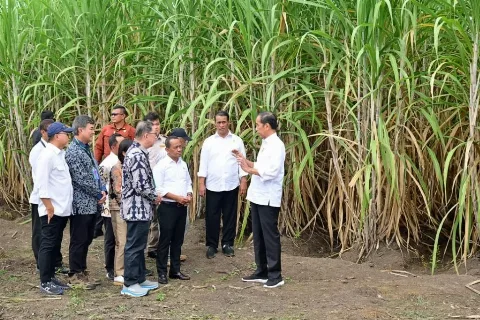 Ada Martias dan Martua di Proyek Gula Merauke