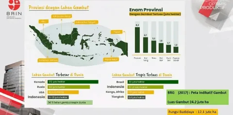 Hidrologis Gambut dan Risiko Kebakaran Lahan Gambut