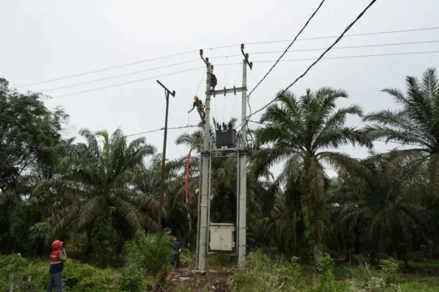 PT PLN Pasok Kebutuhan Listrik di Sektor Industri Pengolahan Kelapa Sawit