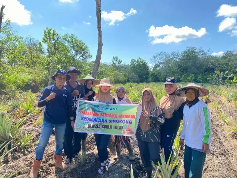 PT KAL Mendorong Diversifikasi Produk Melalui Tumpangsari