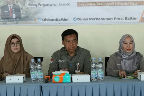 Disbun Kaltim Mengembangan Kawasan Perkebunan Kelapa Sawit Berbasis Korporasi