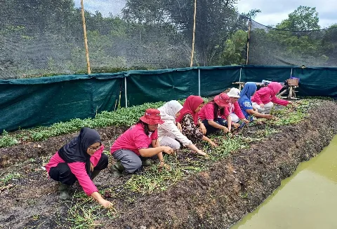 ANJA Meningkatkan Kesejahteraan Masyarakat Melalui Program Mina Bawang
