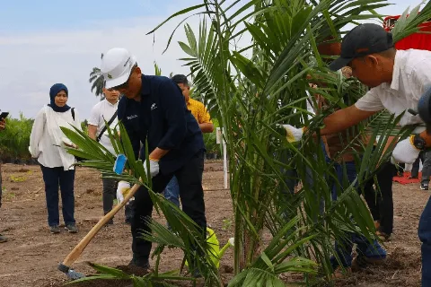 PTPN IV PalmCo Menargetkan Sebanyak 2,1 Juta Bibit Sawit Unggul Bersertifikat Diserap Petani
