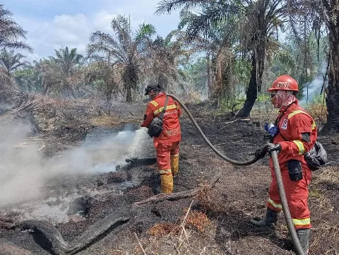Dua Titik Baru Muncul di Pelalawan, Pemadaman di Siak dan Rohil Berlanjut