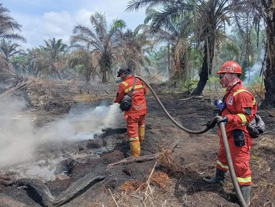 Dua Titik Baru Muncul di Pelalawan, Pemadaman di Siak dan Rohil Berlanjut