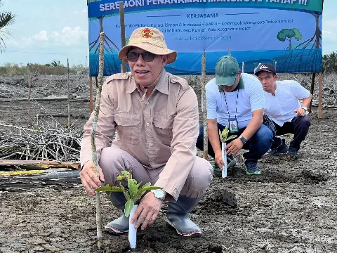 GAPKI Lanjutkan Komitmen Penanaman Mangrove di Kalteng