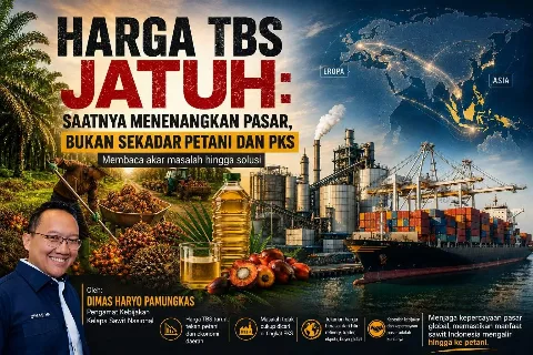 Harga TBS Jatuh: Saatnya Menenangkan Pasar, Bukan Sekadar Petani dan PKS