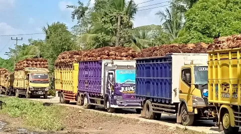 Petani Banten Keluhkan Antrian Truk Sawit Sampai Seminggu di Pabrik Holding PTPN III Kertajaya