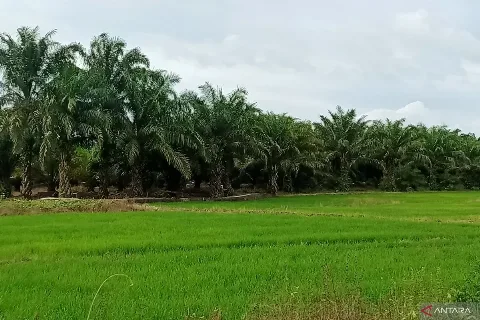 Pupuk Indonesia Dorong Produktivitas dan Pertanian Terintegrasi