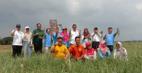 Low External Input Sustainable Agriculture Strategi Ketahanan Energi dan Pangan