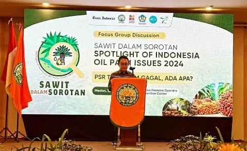 Produksi Seret, Sektor Hulu Sawit Perlu Dibenahi