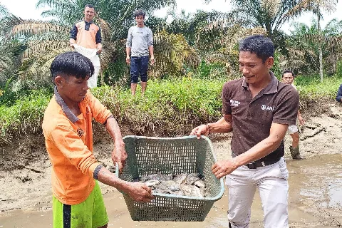 ANJ Berkolaborasi Dengan Kelompok Tani Peduli Api Lakukan Panen Perdana Ikan Nila