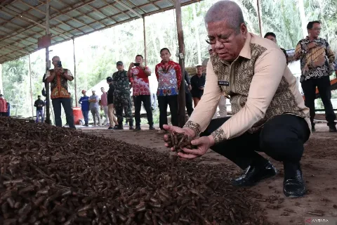 Pj Gubernur Kalbar Meninjau Pabrik Pengolahan Briket dari Tandan Kelapa Sawit