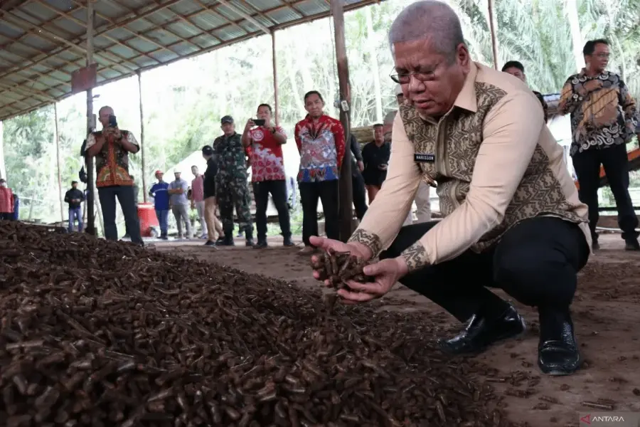 Pj Gubernur Kalbar Meninjau Pabrik Pengolahan Briket dari Tandan Kelapa Sawit