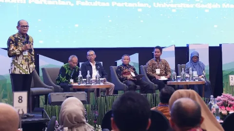 Lahan PSR Berpotensi Sumbang Produksi Beras melalui Intercropping Padi Gogo