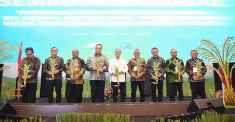 IPB Luncurkan Padi Gogo di Lahan Peremajaan Sawit