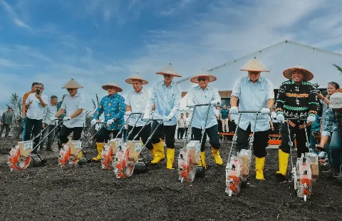 PTPN IV PalmCo Memanfaatkan Lahan Peremajaan Sawit Rakyat Untuk Menanam Padi